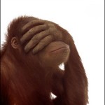 facepalm_monkey