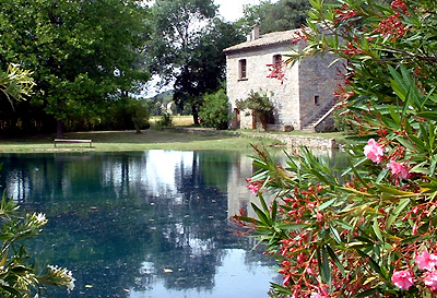 villa_plantat
